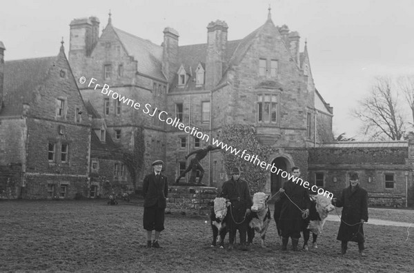 GLASLOUGH HOUSE  SIR SHANE LESLIE AND BULLOCKS BEFORE CASTLE